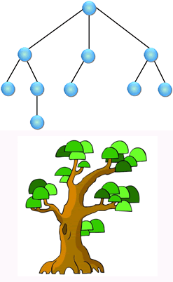 树形结构