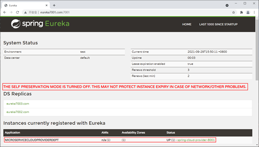 Eureka 自我保护机制 7001