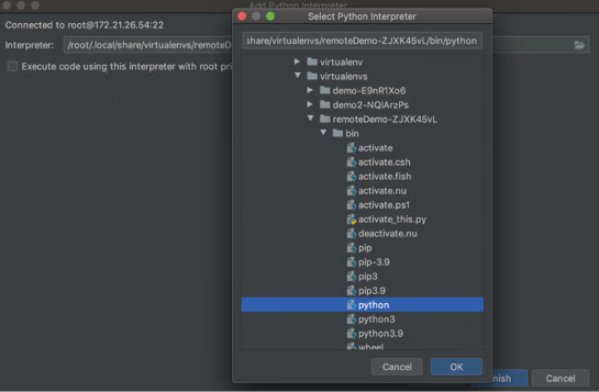 选择远程虚拟的 Python 解释器