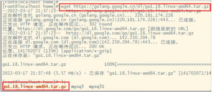 使用 wget 指令下载Go语言安装包